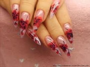 Курсы Наращивание и дизайн ногтей в Николаеве. Территория Знаний