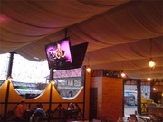 РЕМОНТ ТЕЛЕВИЗОРОВ эксклюзивной-LOEWE,  плазменных телевизоров