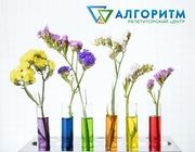 Новый набор учащихся (Парус)