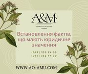 Встановлення фактів,  що мають юридичне значення