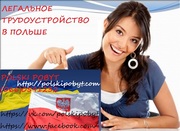 Легальное трудоустройство в Польше.