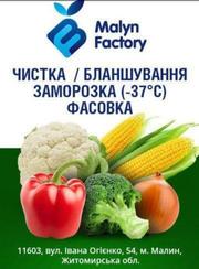 Фасовка и упаковка продуктов в пакеты сетки лотки